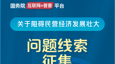 操爆的小网站国务院“互联网+督查”平台公开征集阻碍民营经济发展壮大问题线索